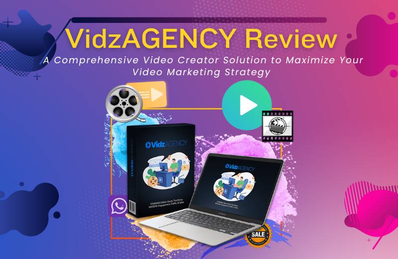 VidzAGENCY Review