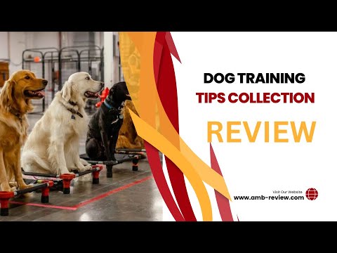Dog Training Tips Collections Review