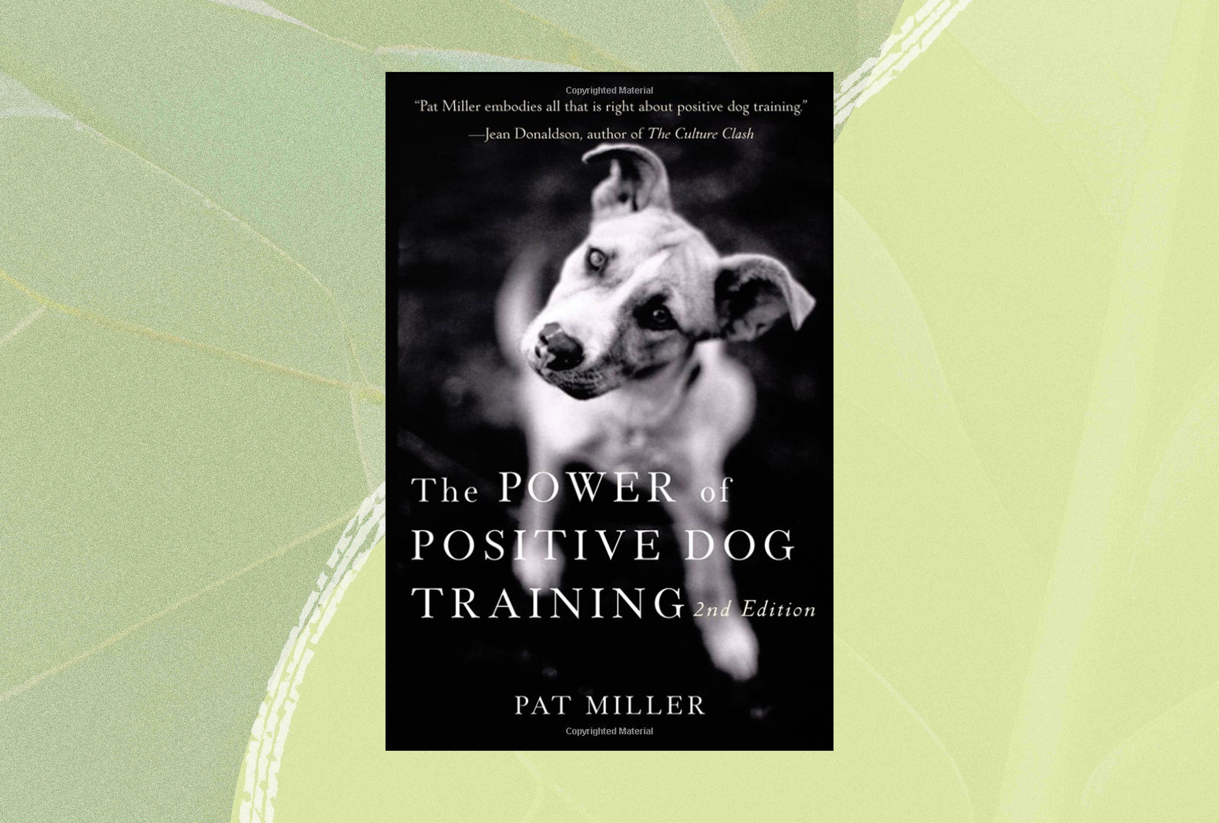 Dog Training Tips Collections Review